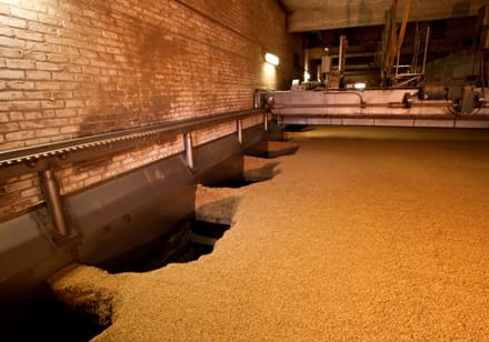 Rahr Malt Kilning
