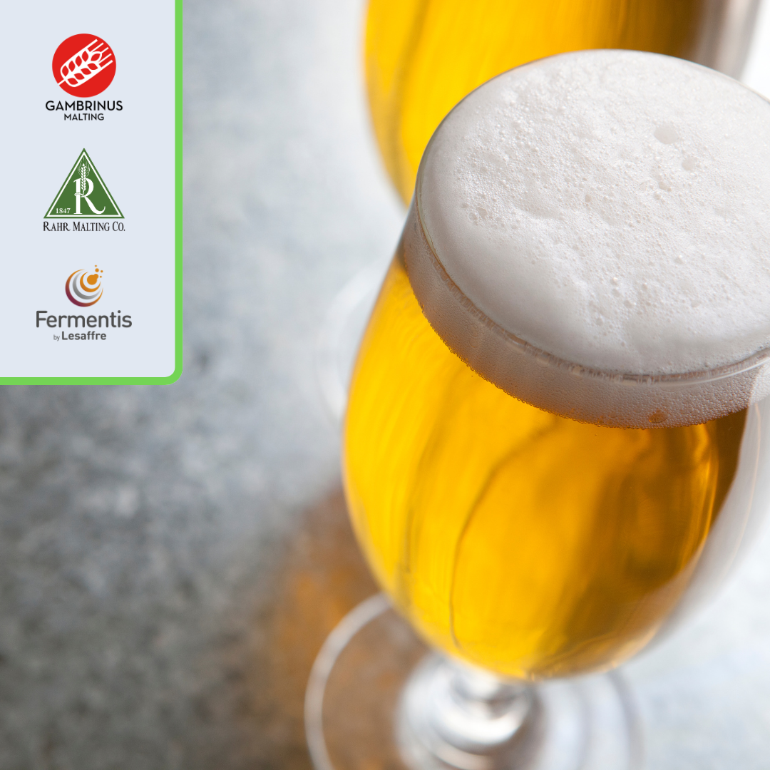 Image of Misty Mountain Hop IPA