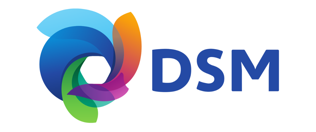DSM Logo