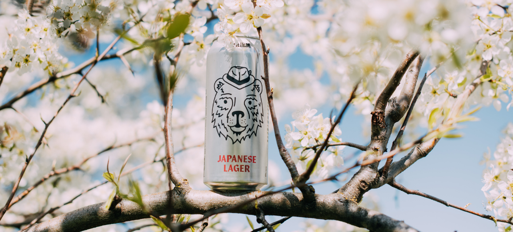 Can of pFriem Japanese Lager with cherry blossom tree in background