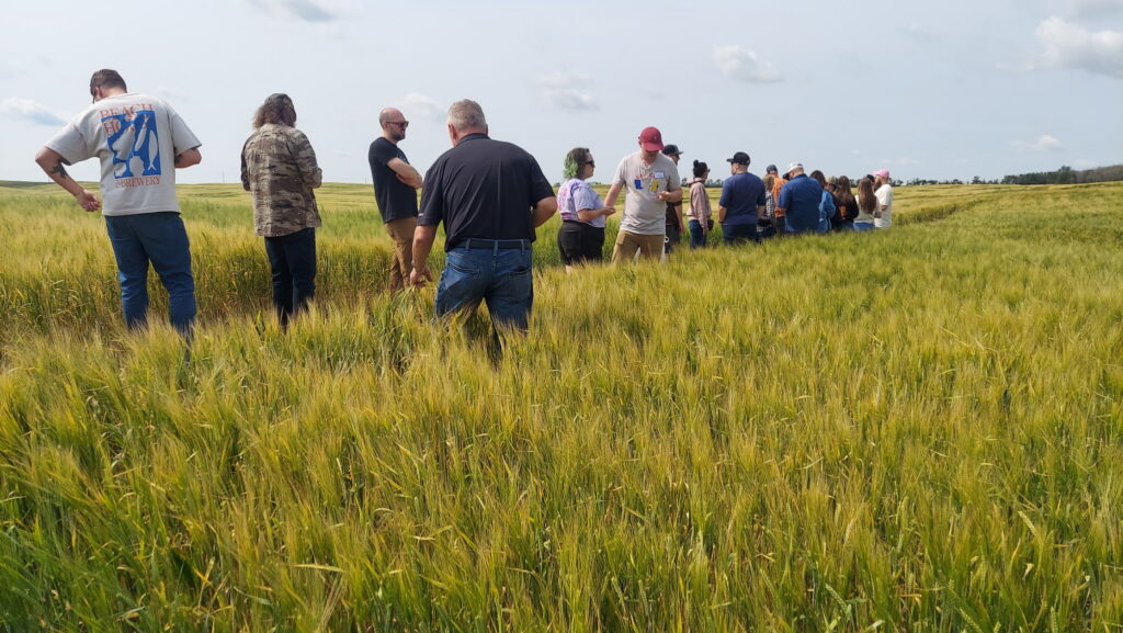 Brewers and farm staff in barley field at Davidson Bros Farm in Alberta, CAN.