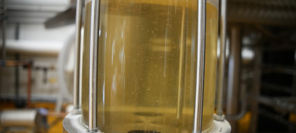 Rice lager wort in brink at Arbeiter Brewing Co.