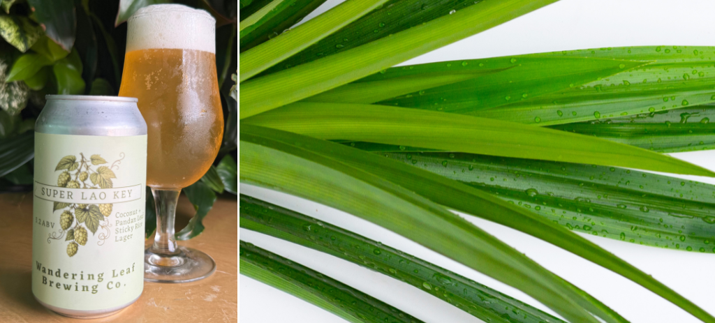 Left: Super Lao Key Stick Rice Lager beer in can and glass. Right: Fresh pandan leaves